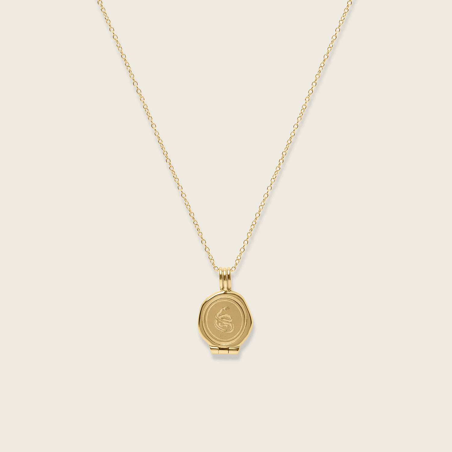 Ad Astra Seal Medaillon Kette | 585 Gold