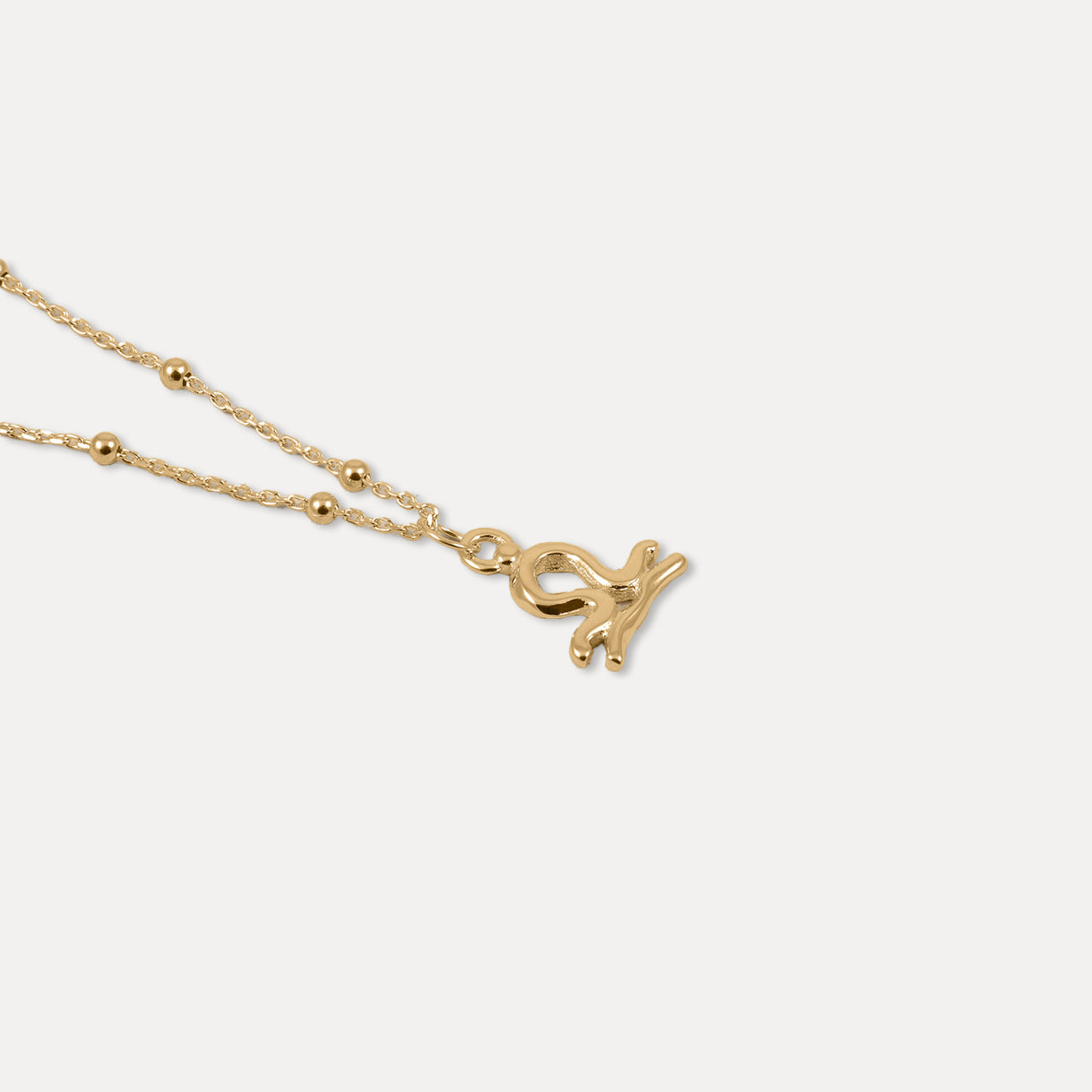 Zodiac Charm Kette
