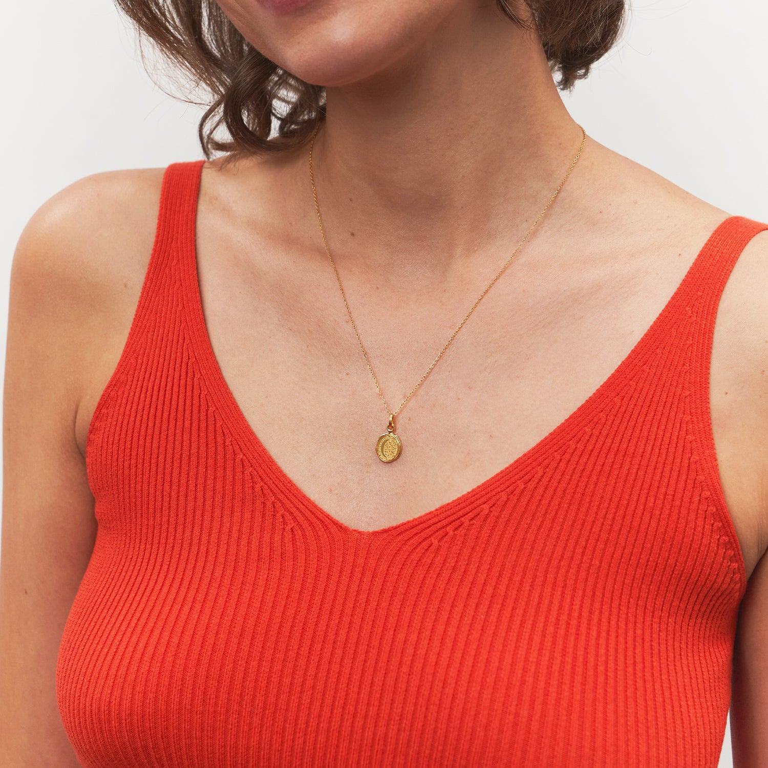 Moon Seal Anhänger | 585 Gold