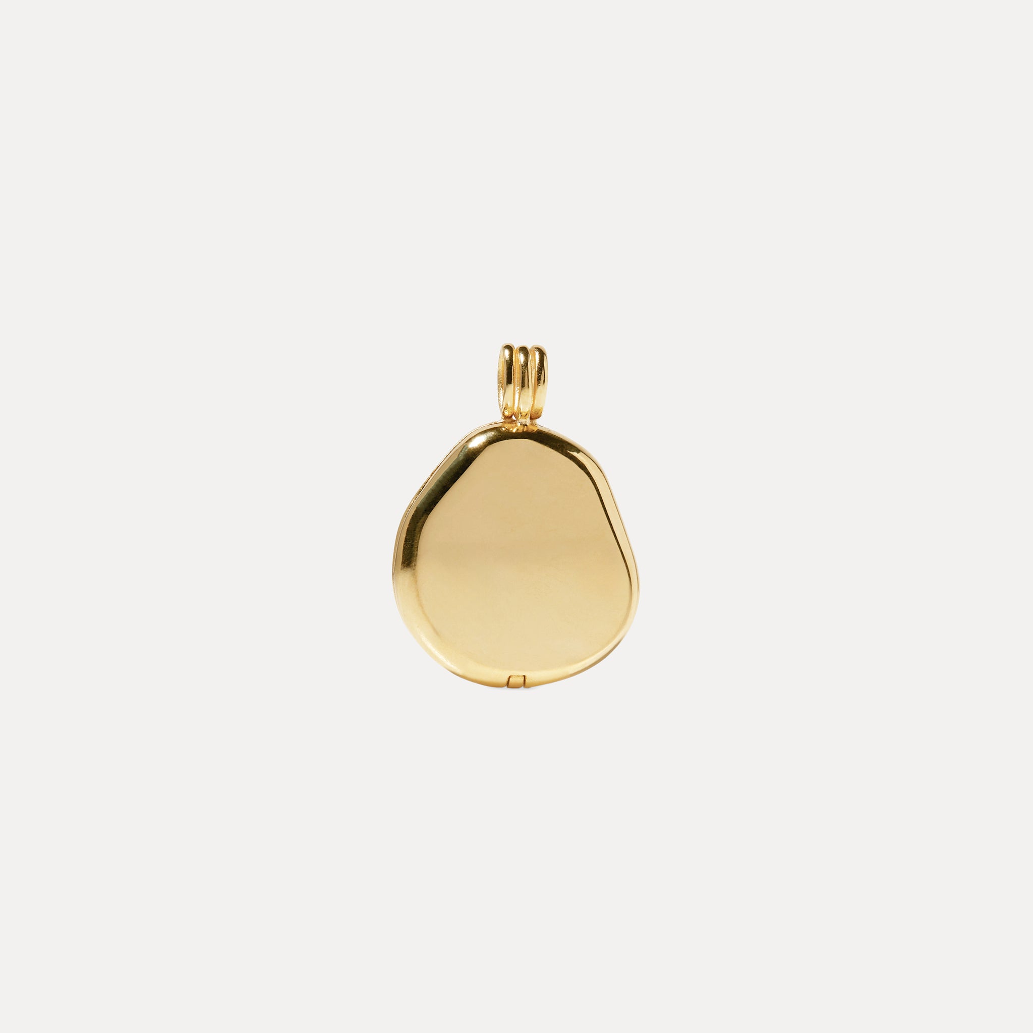 Organic Liquid Medaillon Anhänger 14k Massivgold