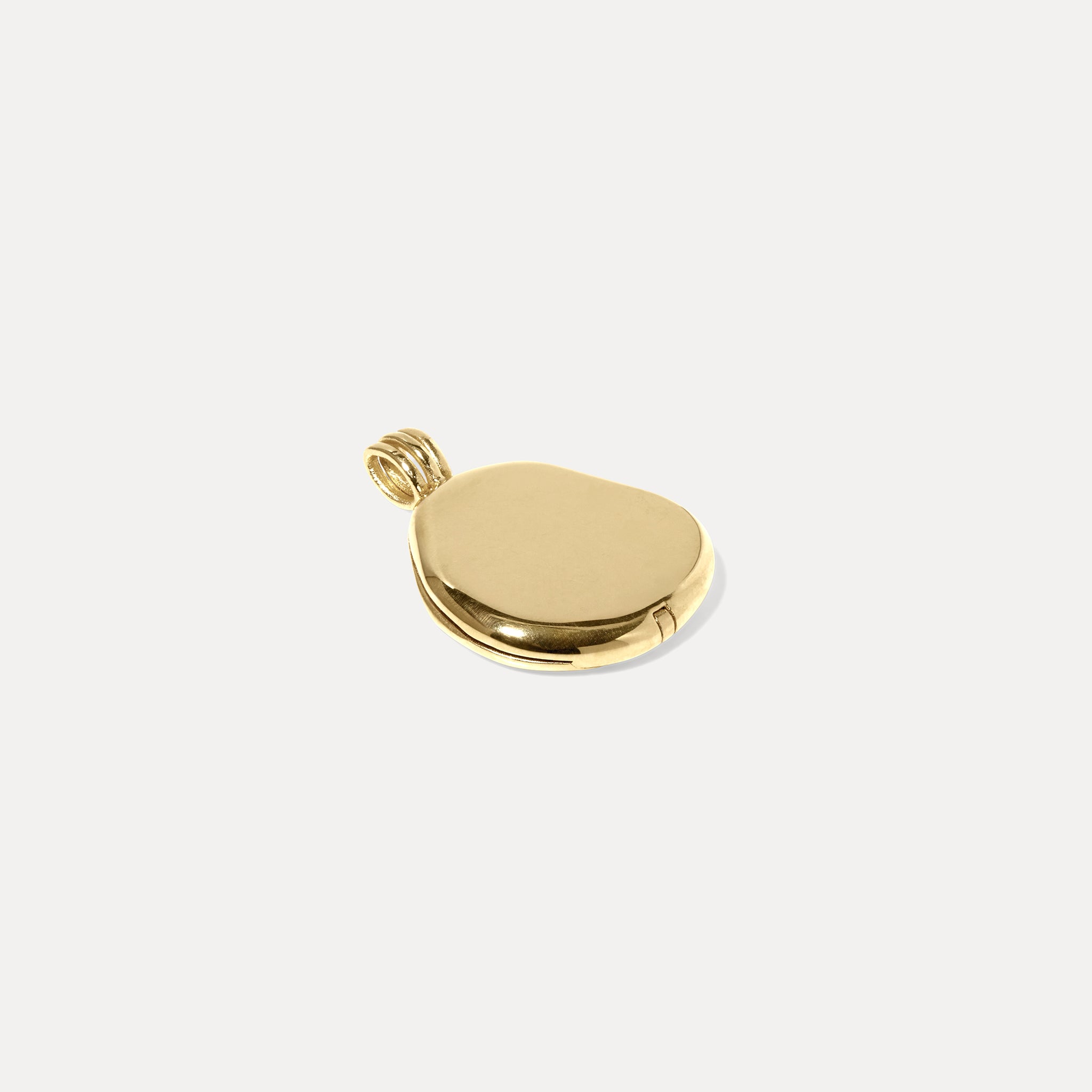 Organic Liquid Medaillon Anhänger | 585 Gold