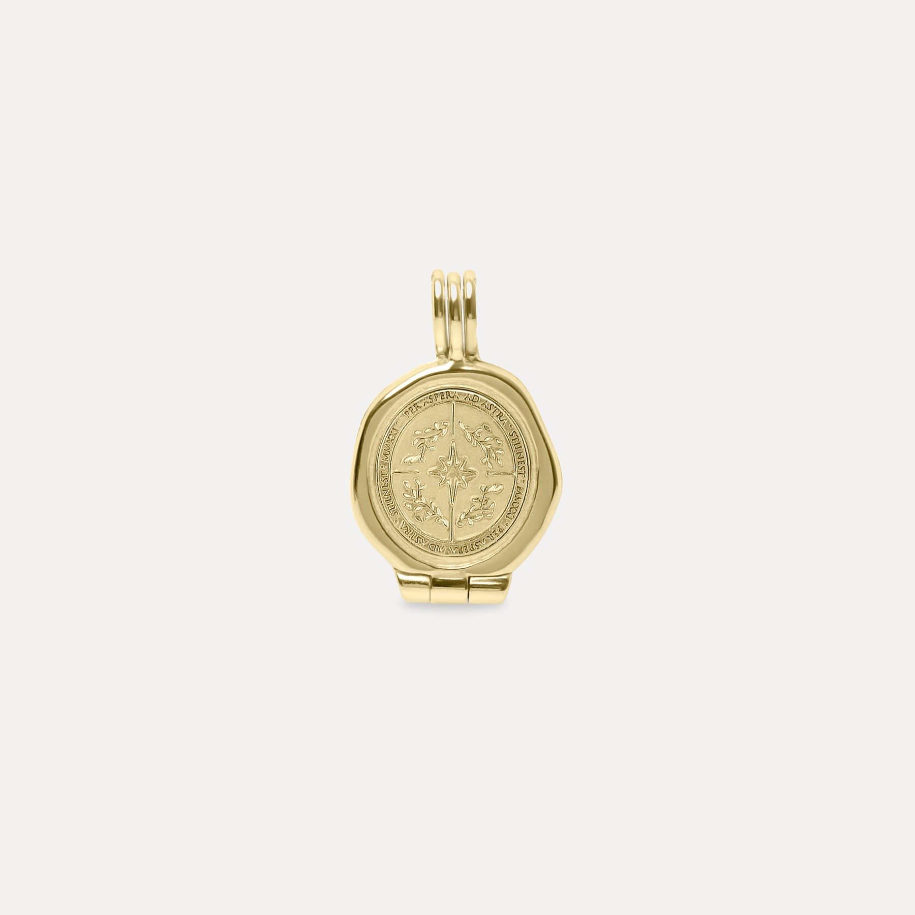 Ad Astra Seal Medaillon Kette 14k Massivgold