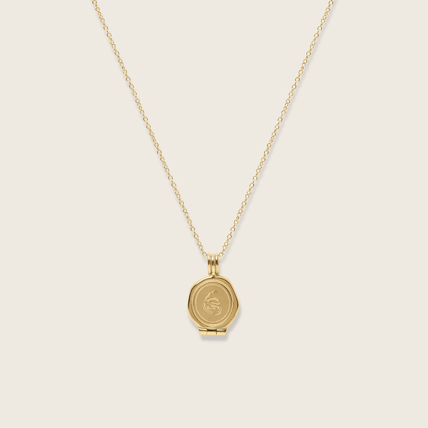 Snake Seal Medaillon Kette | 585 Gold