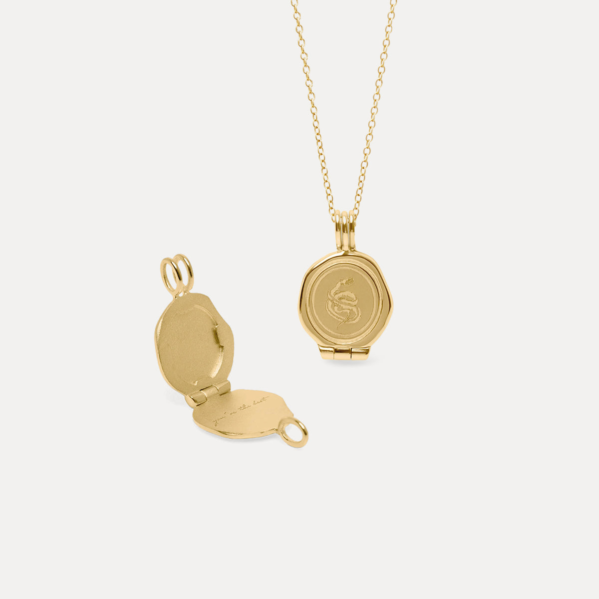 Snake Seal Medaillon Kette 14k Massivgold