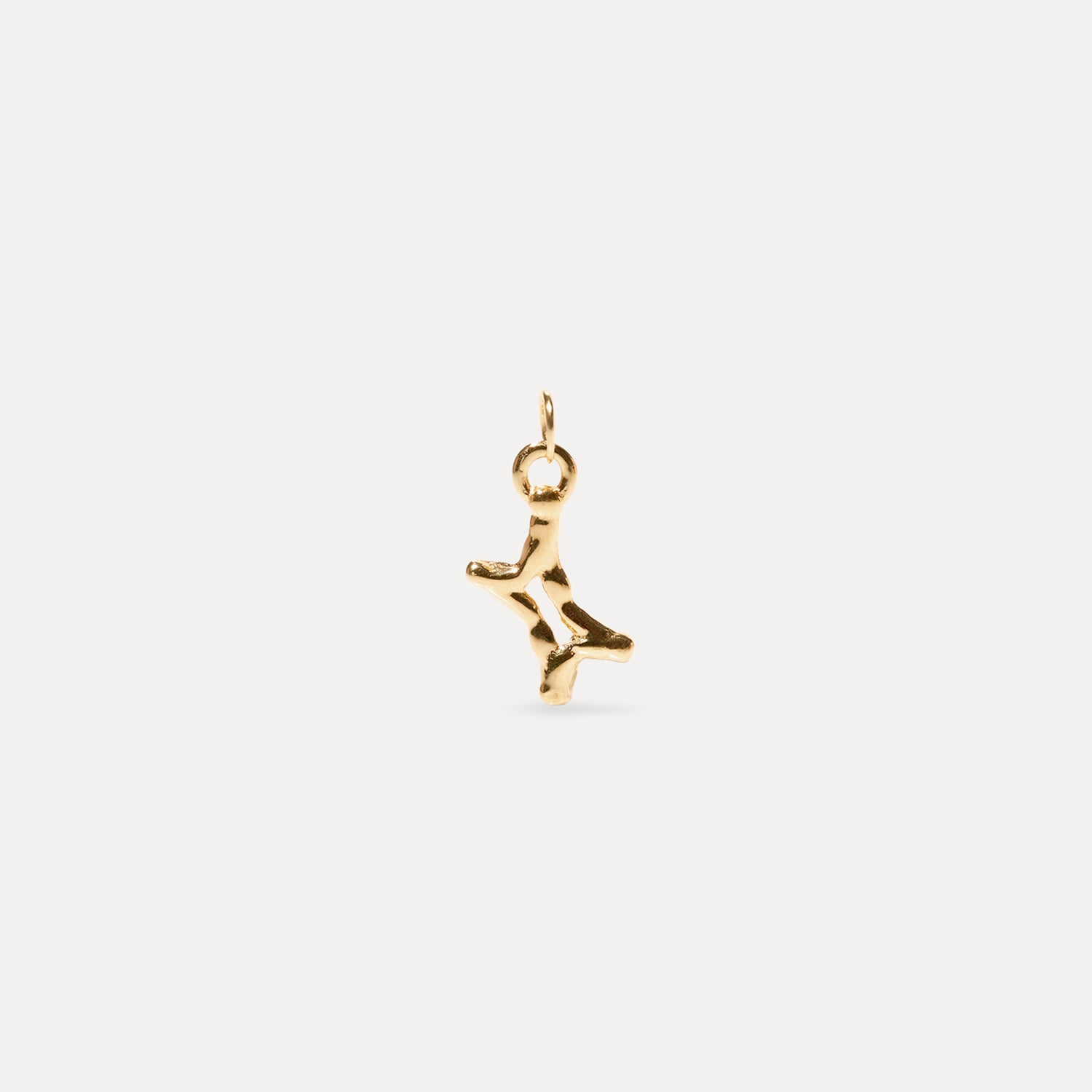Zodiac Charm Anhänger | 585 Gold
