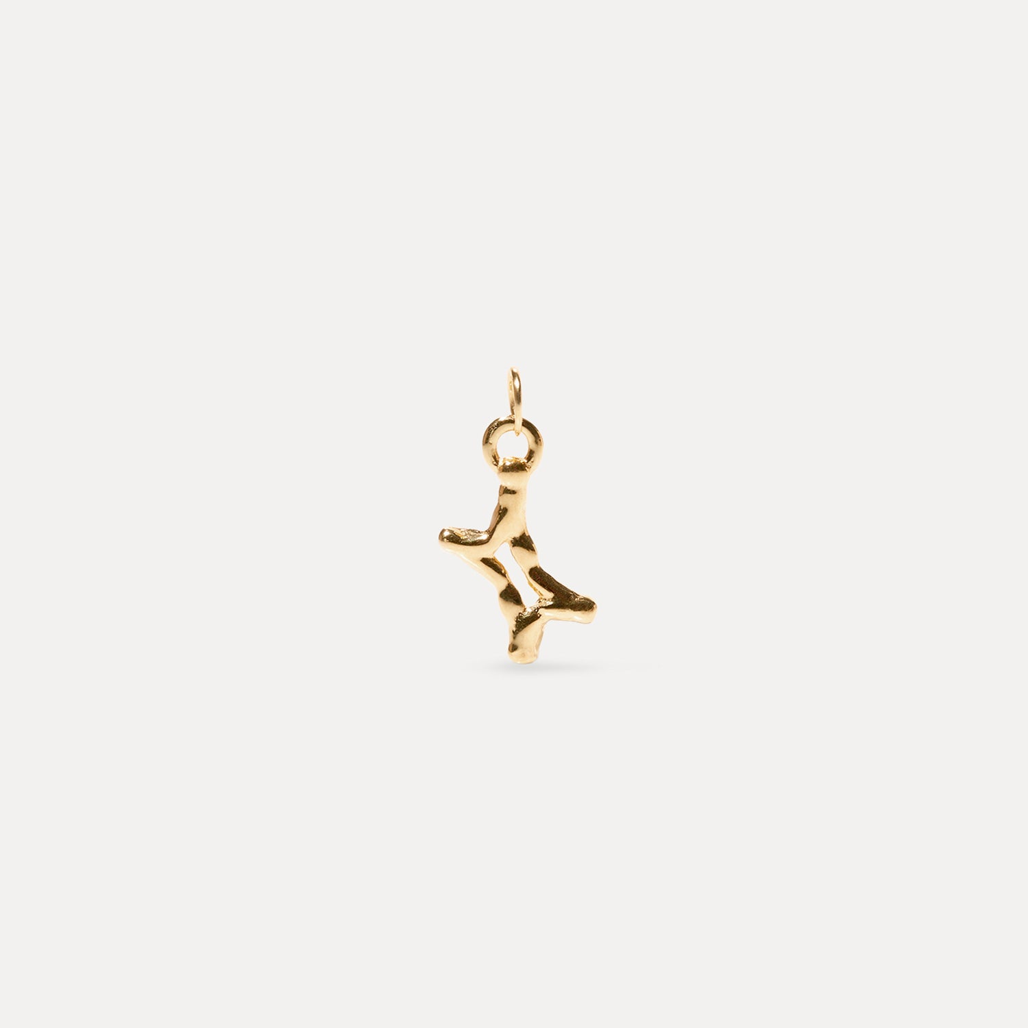 Zodiac Charm Anhänger 14k Massivgold