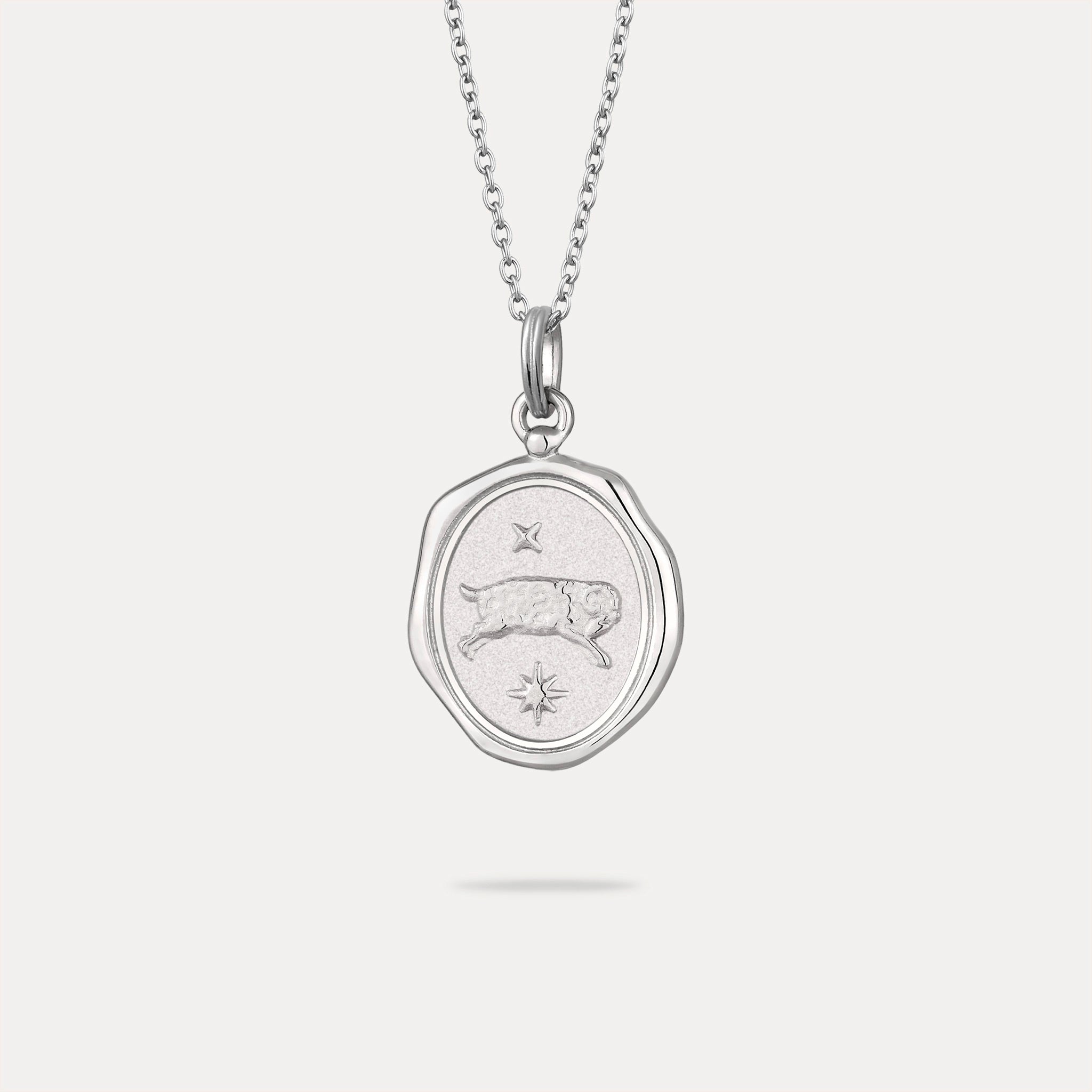 Zodiac Seal Anhänger
