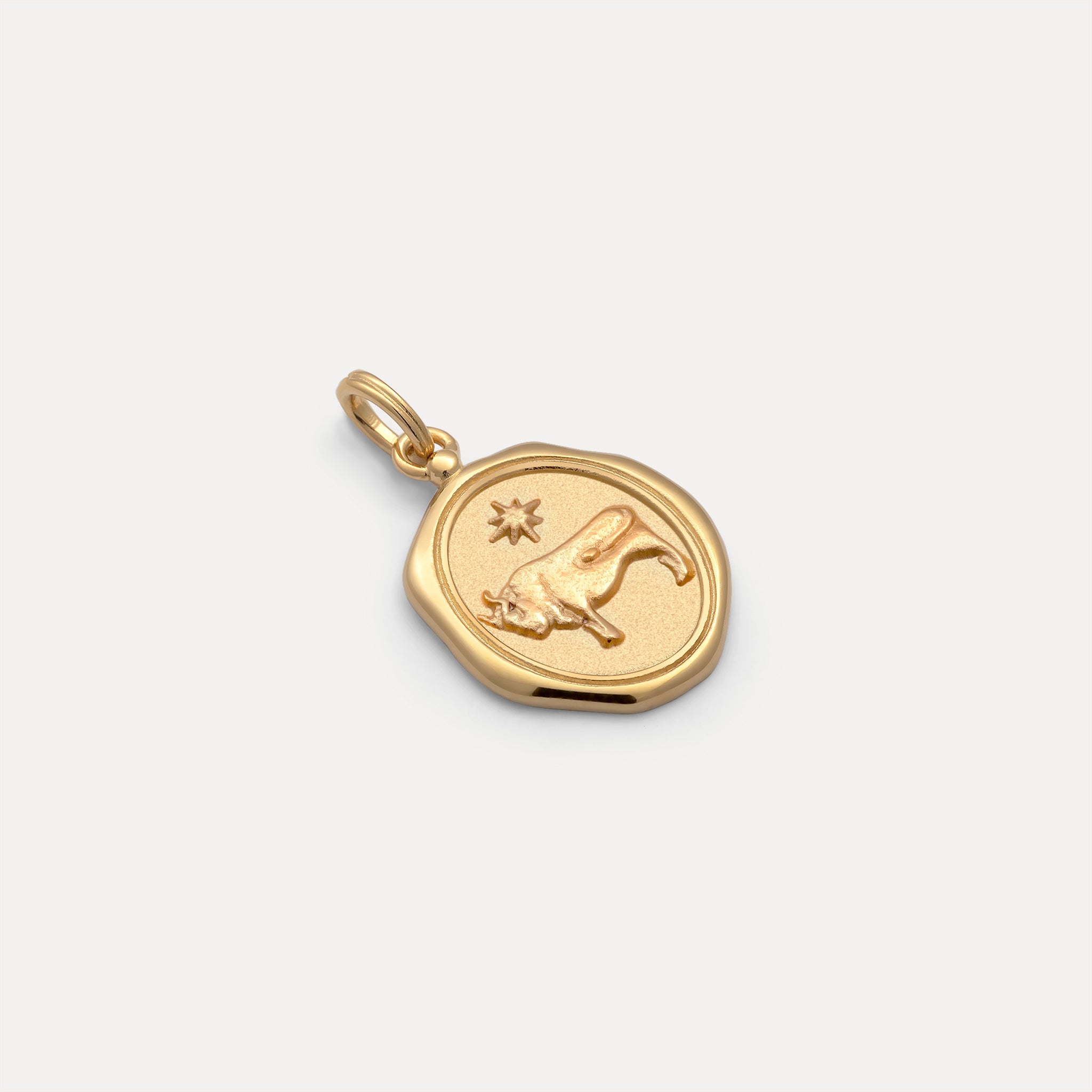 Zodiac Seal Anhänger | 585 Gold