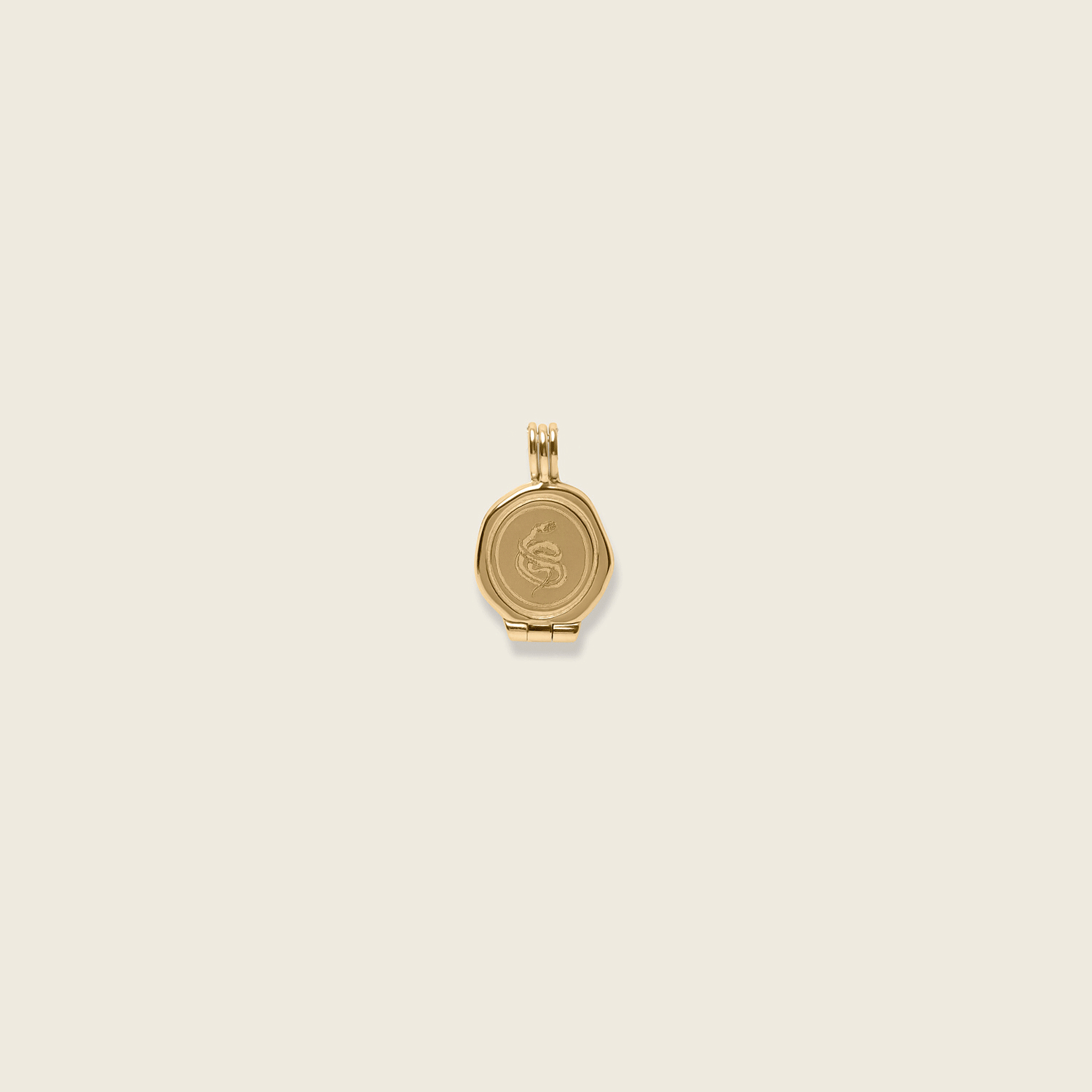 Snake Seal Medaillon Anhänger | 585 Gold