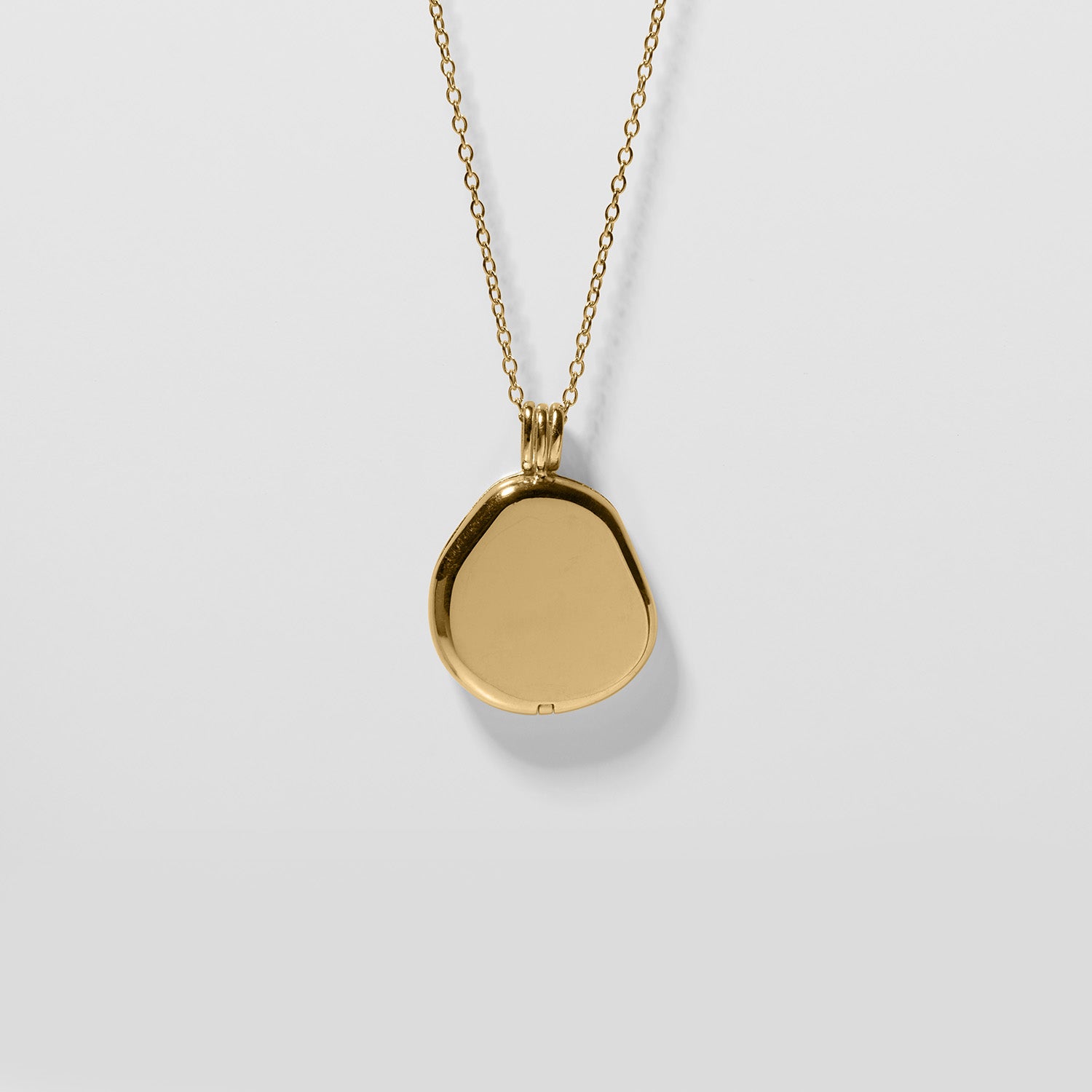 Organic Liquid Medaillon Kette | 585 Gold
