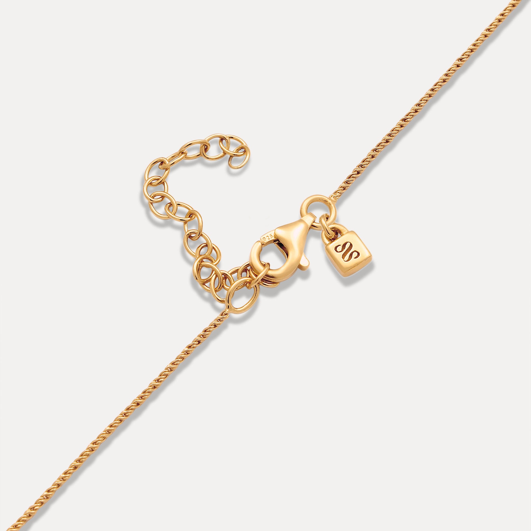 Spiral Dainty Chain Fusskette