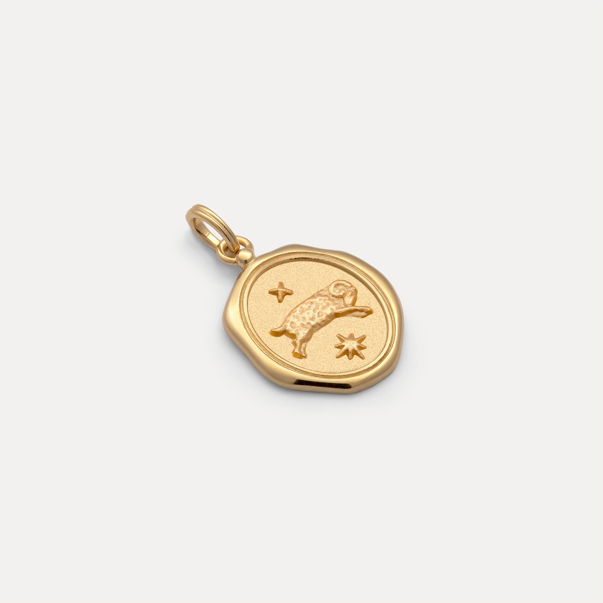 Zodiac Seal Anhänger | 585 Gold