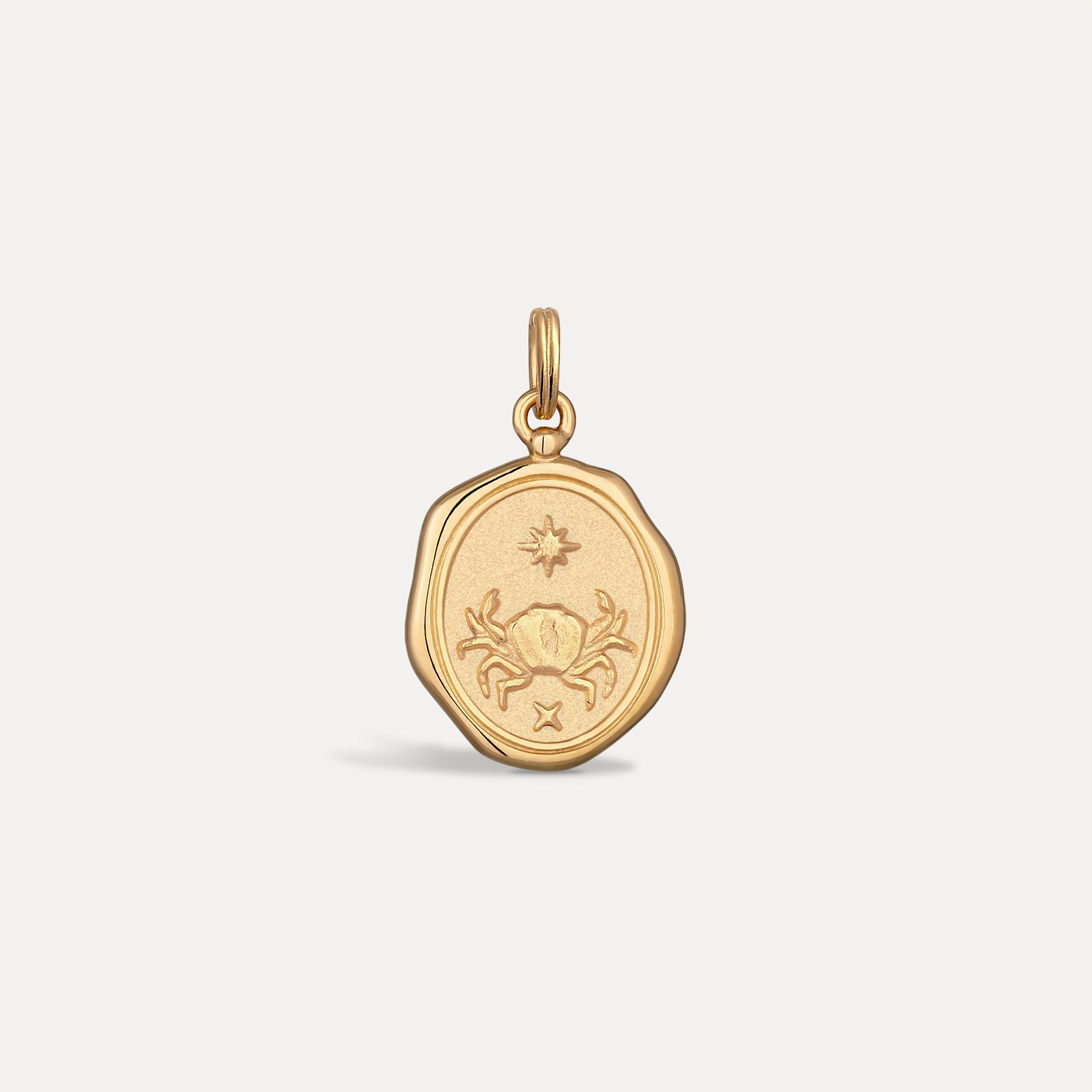 Zodiac Seal Anhänger | 585 Gold