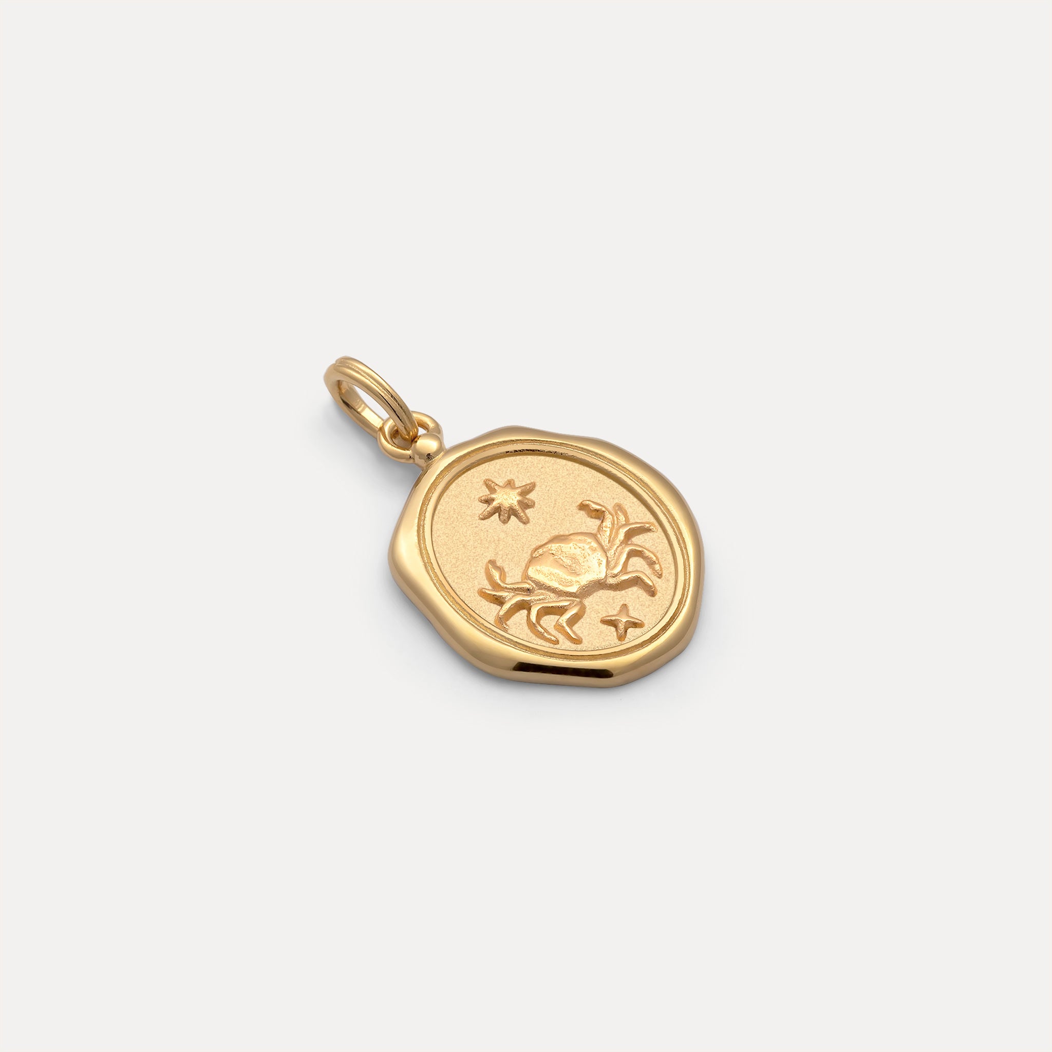 Zodiac Seal Anhänger | 585 Gold