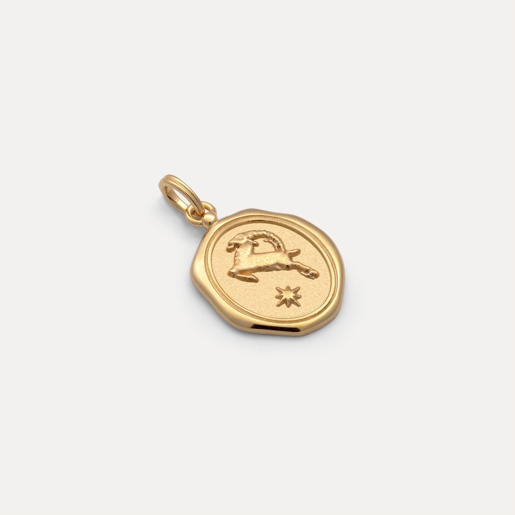 Zodiac Seal Anhänger | 585 Gold