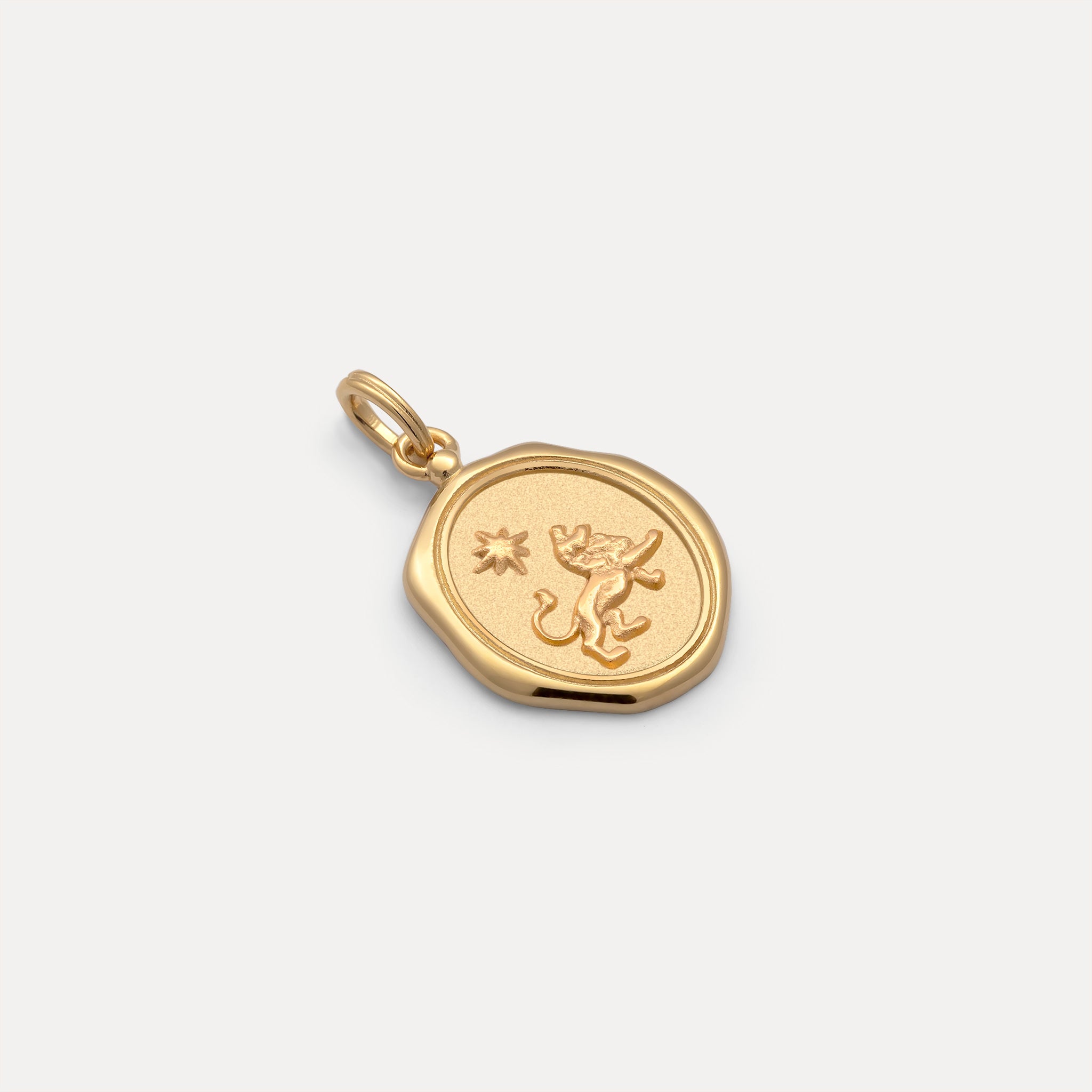 Zodiac Seal Anhänger | 585 Gold