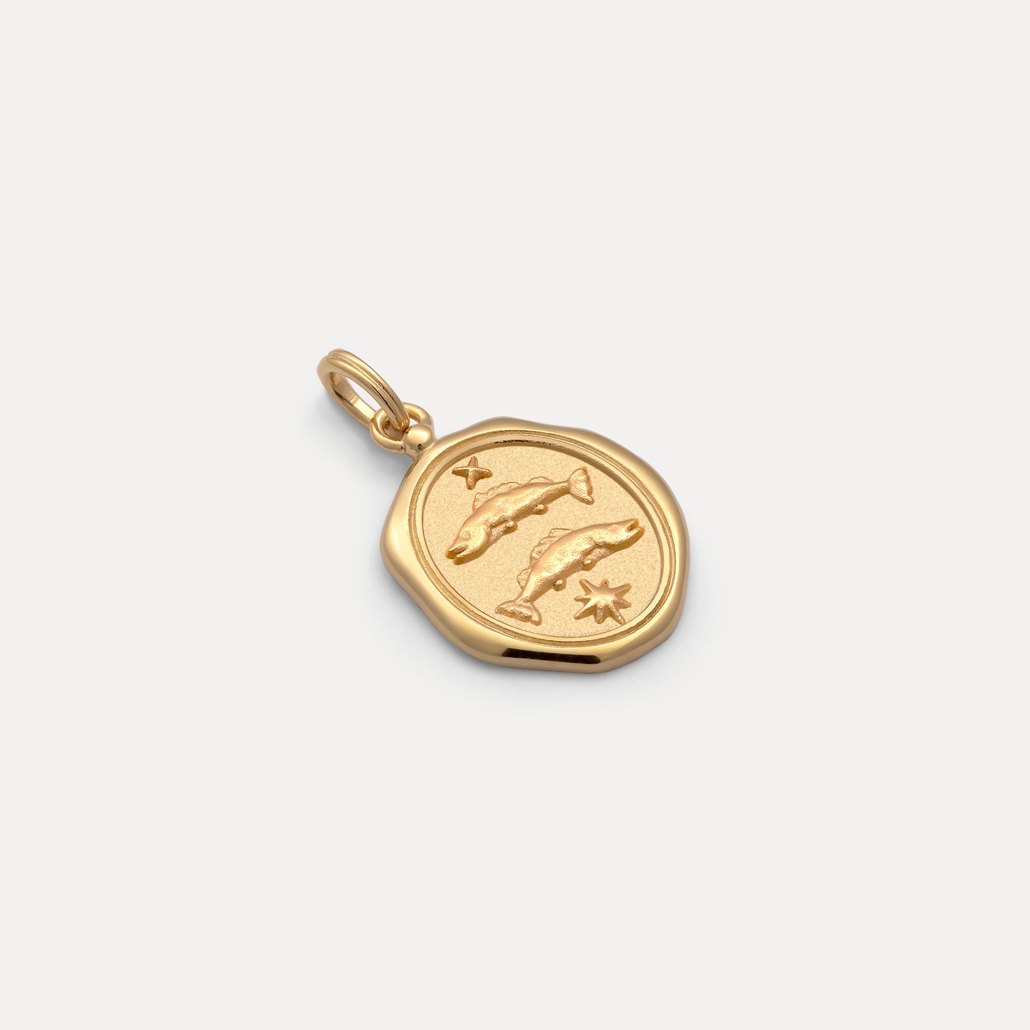 Zodiac Seal Anhänger | 585 Gold