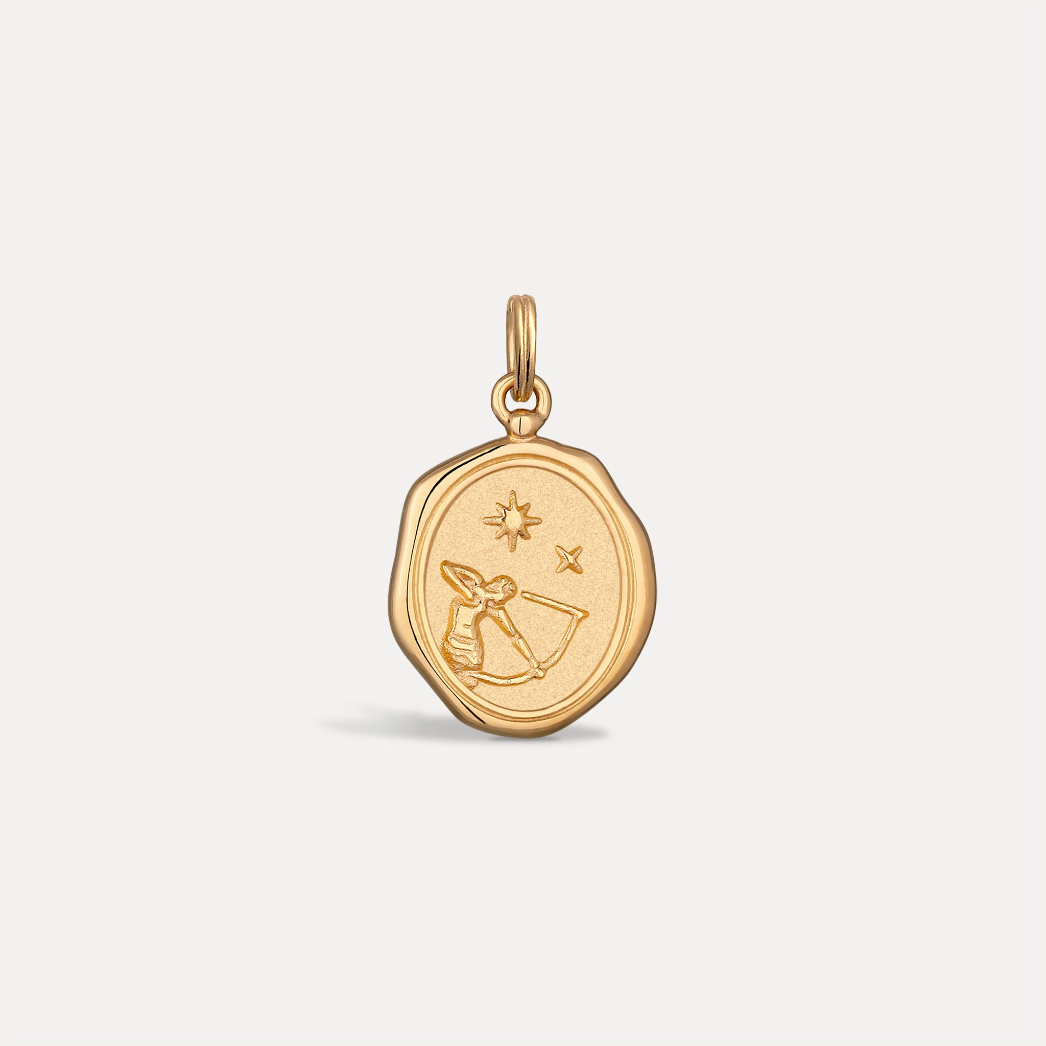 Zodiac Seal Anhänger | 585 Gold