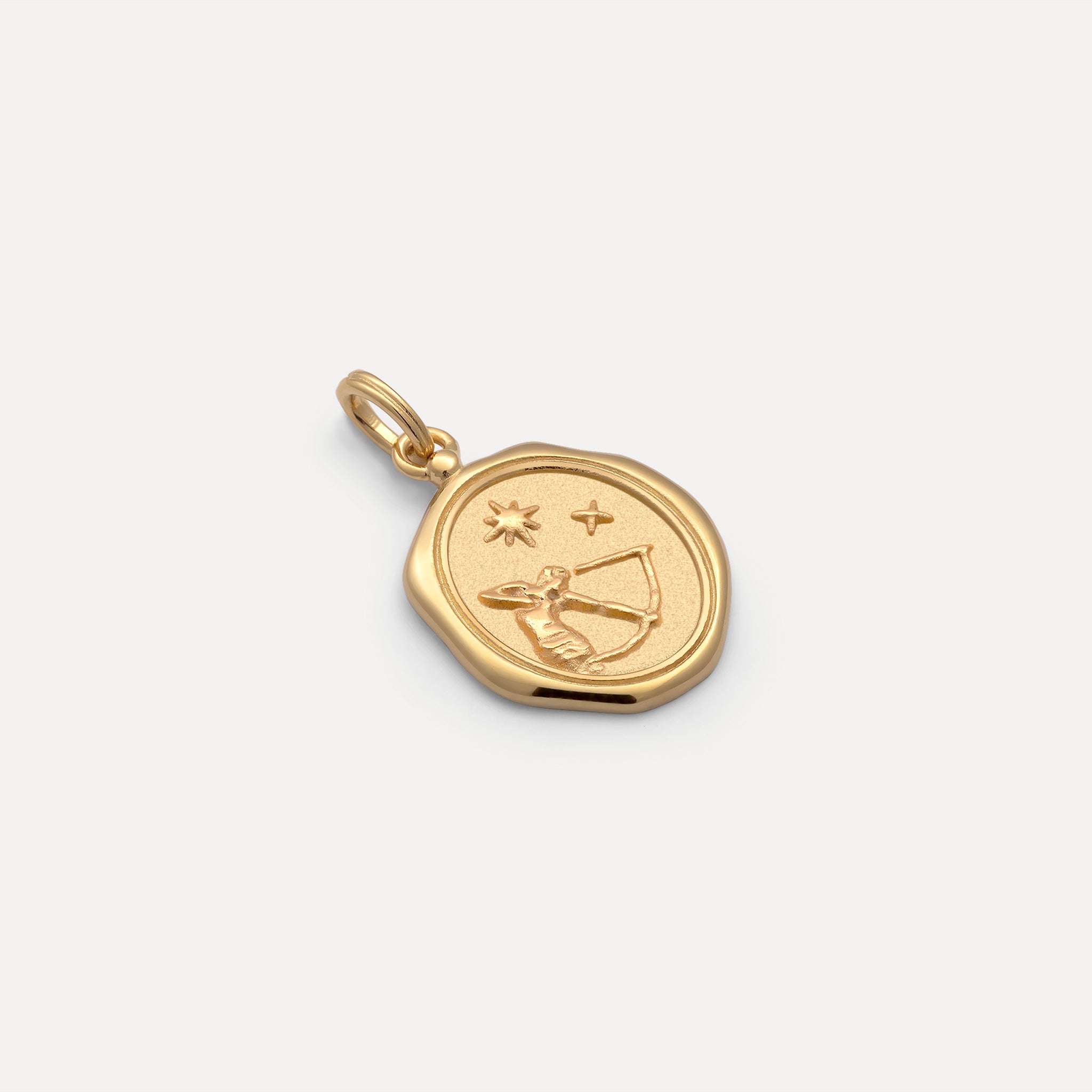 Zodiac Seal Anhänger | 585 Gold