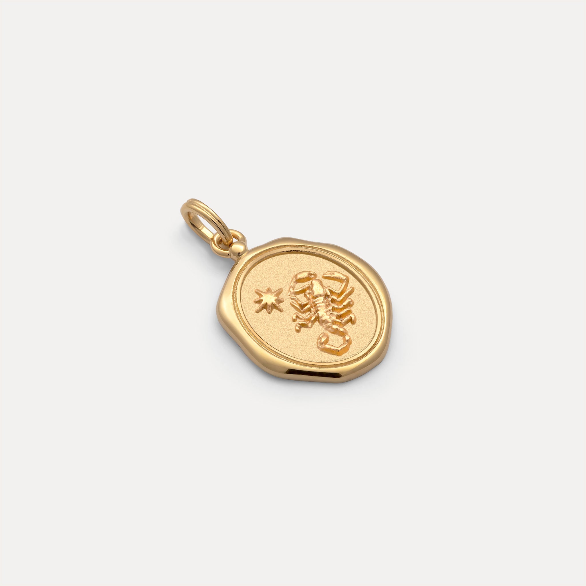 Zodiac Seal Anhänger | 585 Gold