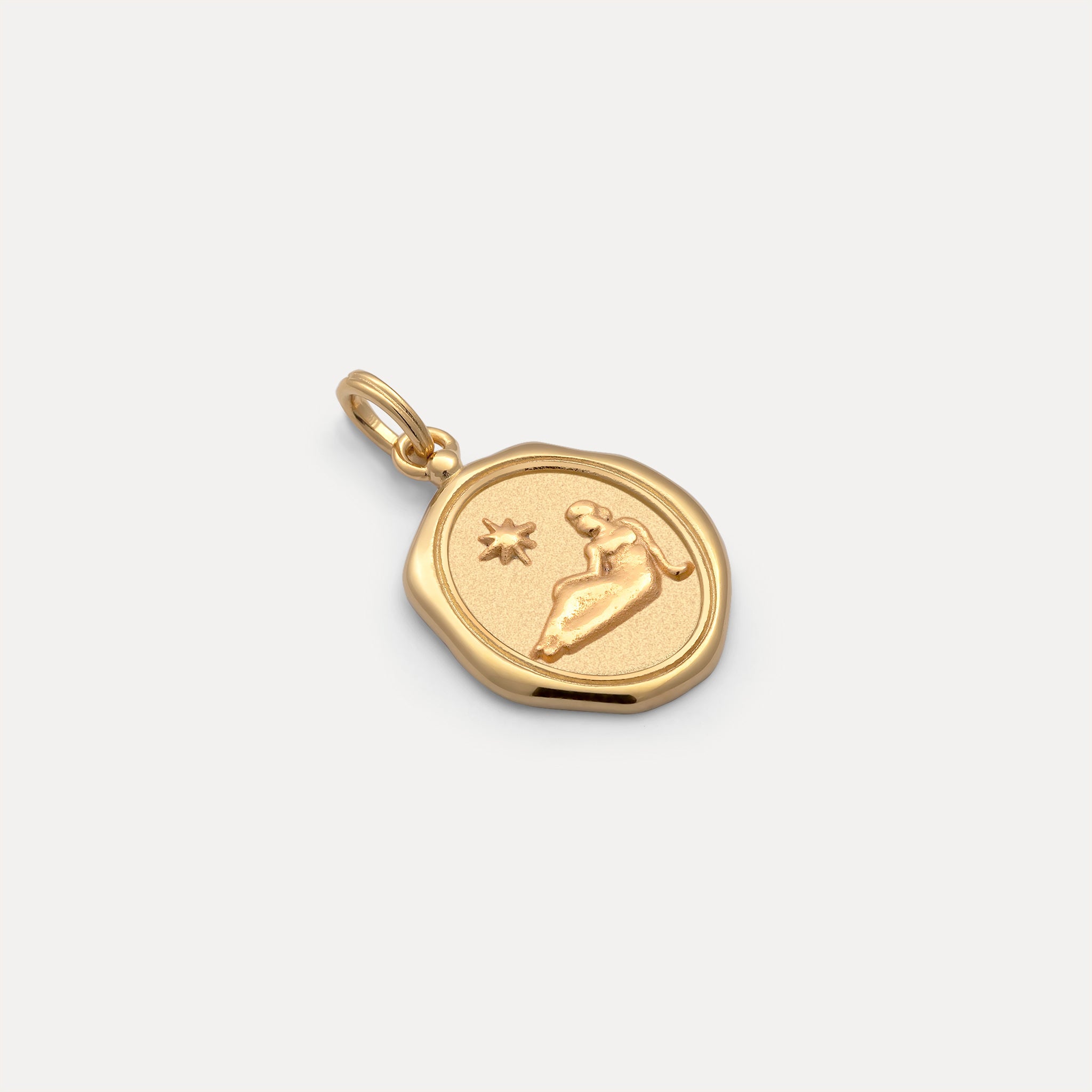 Zodiac Seal Anhänger | 585 Gold