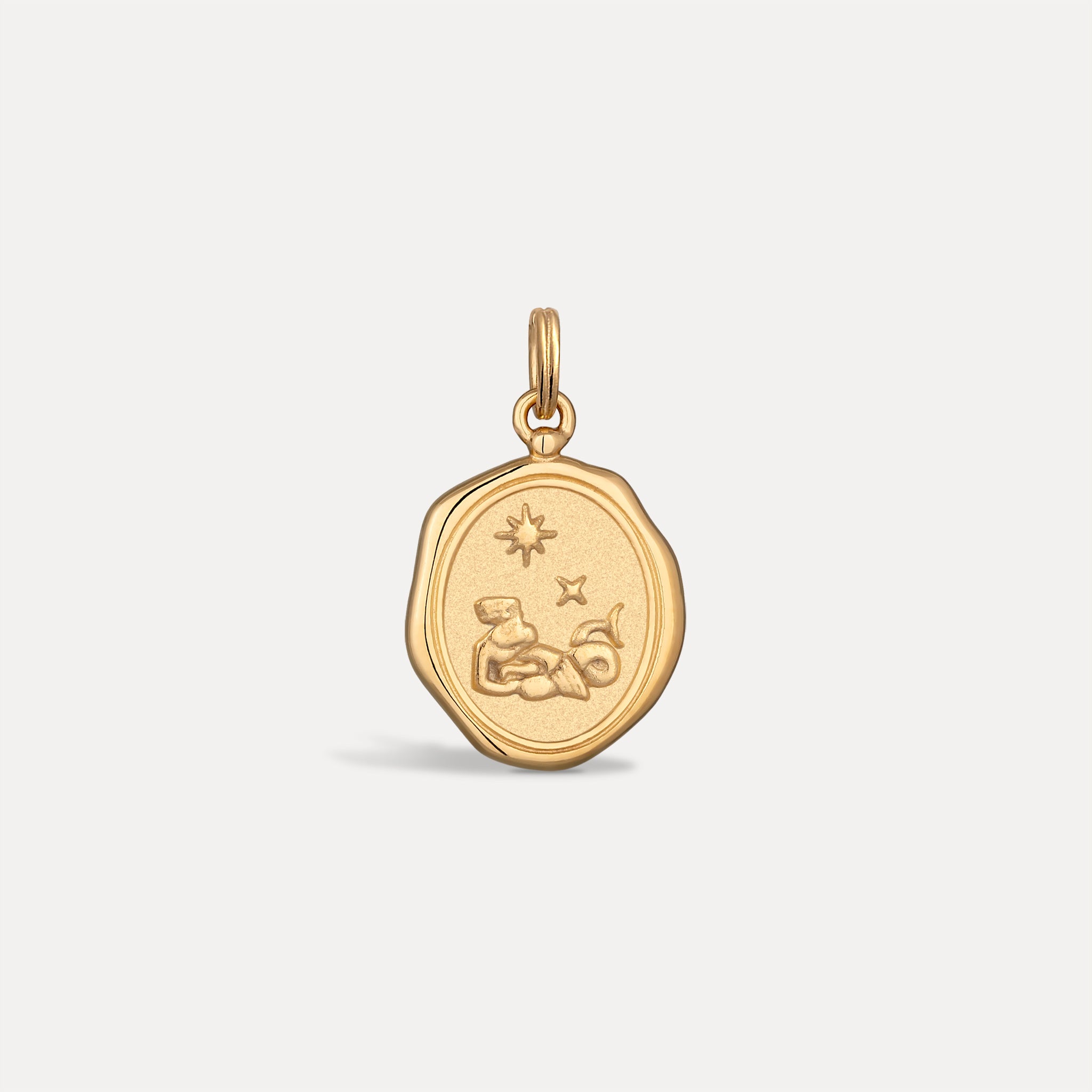 Zodiac Seal Anhänger | 585 Gold