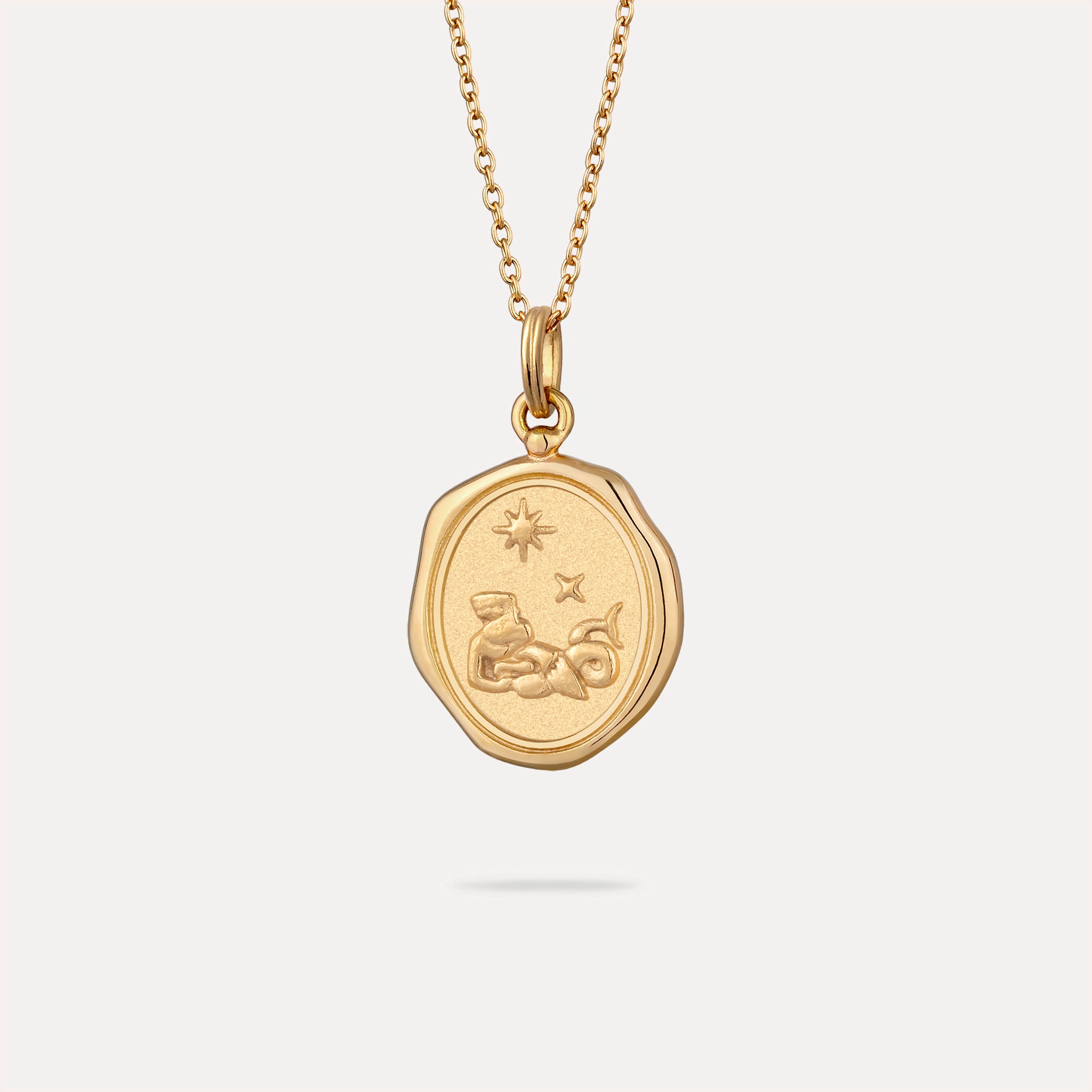 Zodiac Seal Anhänger | 585 Gold